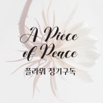 더블랑문 3개월 꽃 정기 구독 : The Blanc Moon