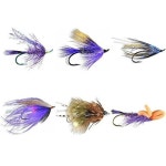 스틸헤드 어소시에이션 MFC 6 플라이 : Aaso