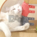 다올 고양이 빗 털제거빗 털제거 고양이그루밍 : 다올추천샵
