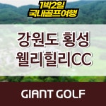 강원도골프 국내골프패키지 횡성 웰리힐리cc : 국내 해외골프 부킹예약센터