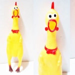 소리나는닭 미친닭 닭삑삑이 : lovenluv 러브앤루브