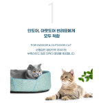 유통26.1 우성 넥스탑 패밀리캣, 20kg, 1개 : 바른펫