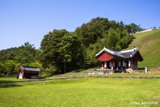 4/18(토) [출발확정] 영월 당일여행 - 청령포+관풍헌+서부재래시장+영월장릉+선암마을+뗏목체험 / 지붕없는 박물관 영월 여행 : 트립앤미