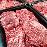 한우 1++ 1+ 구이상회 모둠구이 부채살 안심 등심 채끝 업진살 갈비살 제비추리 치마살 정애담 투뿔 원뿔 소고기 1kg 500g : 정애담