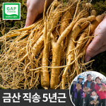 음식점용 인삼 무세척 수삼 중 375g : 한가람건강원