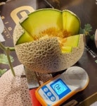 [형주네 멜론농장]산지직송★고창멜론-프리미엄 고당도 제철 꿀멜론 16Brix, 8kg, 3개 : 형주네멜론농장