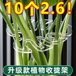 1개 업그레이드 트레이 투명 봄깃형 분갈이 둥근입 플라스틱 나무 묘목컵 실제 강인성 강인성 업그레이드 봄깃형 1개 고정도복방지 : 어질스토어