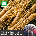 선생님 선물용 인삼 금산 무세척 원수삼 중 375g : 한가람건강원