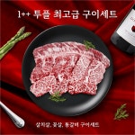 한우 1++ 1+ 최고급 구이세트 통갈비 갈비살 꽃살 살치살 세트 마블링 투플 소고기 1kg 600g : 정애담