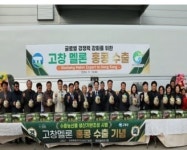 [형주네 멜론농장]산지직송★고창멜론-프리미엄 고당도 제철 꿀멜론 16Brix, 8kg, 3개 : 형주네멜론농장