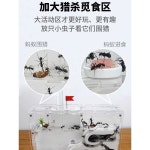 앤트킹 개미 키우기 사육장 개미굴 학교 과학 교구 취미용 케이스 흰색 성+검개미(여왕1+120) : 엔조이 기프트