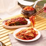 당일생산 국내산 밀밭명가 배추겉절이 무생채 쪽파김치 3종 패키지 1kg : 밀밭칼국수