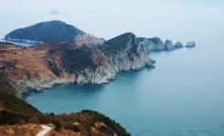[울산출발] 통영 연화도 수국꽃 트레킹 연화봉 산행 출렁다리 : 돌고래여행사-돌핀스토어