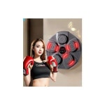 스마트뮤직 복싱머신 다이어트펀치운동 전자 샌드백 : 와이네이션