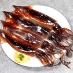 [선주직송] 동해안 국내산 횟감용 활 생물 산오징어 1kg 급냉 통찜용 : 이프로마켓