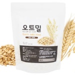 로지프로 캐나다산 오트밀 400g 영영곡물 슈퍼푸드 귀리100% : 로지프로솔루션