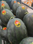 왕흑수박 8-9kg : 과일소담촌하남점