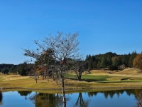 미토레이크스컨트리클럽 : 이리로투어