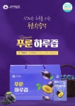 푸룬 하루즙 70ml 30포 임산부푸른주스 장편한 푸룬착즙 : 리바나 Ribana