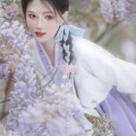 한복 원피스 여성 바이올렛 자수 한국 코스튬 궁전 사진 여행 댄스 공연 Purple S : 퍼플앤트