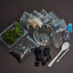 미니숲 이끼 테라리움 만들기 키트 애란 콩짜개 공기정화 습도조절 식물 : 테이블가드닝