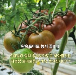 3kg [더생생] 산지직송 직접키운 완숙토마토 김제스마트팜 : 더생생