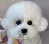 양모펠트인형 : 멍꼬미