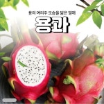 백용과 : 이가네과일야채