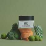 널리 비건 제주 선인장 진정수분크림 50ml 피부장벽 강화 속보습 개선 : 널리 NULLI