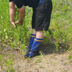 농사 장화 텃밭 주말농장 농업 고무 작업 발목 방수 : 비전세이프티