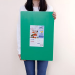 코멕스 업소용 칼라도마 항균 도마 정육점 횟집용 특3호 60cm 그린 : 위대한식모