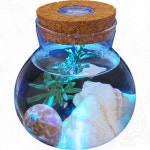 작은마리모LED정원 LED 코르크 유리병 10x11cm : 아보카도샐러드