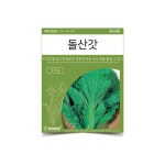 텃밭 채소 씨앗 돌산갓 갓씨앗 김장용홍갓 : 유토피아스토리