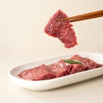 한우 육회 사시미 등심 갈비살 살치살 채끝 구이용 선물세트 : 열광한우