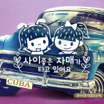 행복한자매자동차꾸미기 사이좋은 자매 반사 : 하사슈