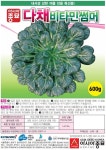 아시아종묘 다채 비타민썸머 씨앗 600g 고온기 재배용 엽채류 : 늘품씨앗