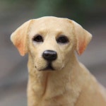 리트리버 래브라도 강아지 조형물 장식품 모형 피규어 노란색 래브라도 앉은 자세 : 일여행자