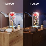 선녀는 매혹적인 장미등을 가지고 발렌타인데이 어머니의 거문고 줄을 반짝이고 영원한 얇은 결혼식 부드러운 날 장식 꽃 은하수 : 포리세븐코퍼... 