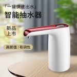 스마트 충전식 전동양수기 물추출기 스마트센서형 워터펌프 24AH 220V 디펜서 (3미터 880에메랄드그린 : 민준네고지