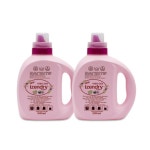 드라이 클리닝 세제 아웃도어 패딩 속옷 의류 관리 기능성 가정용 홈드라이 크리닝 1L 2개 : 으뜸 유통