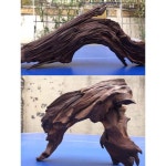 어항 나무 어항유목 수족관 식물가지 식물 다크 뿌리 조경수 조명 생태 구멍 천연 옵션 : 스튜디오 시지에