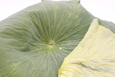 [지우네농원] 연잎 10kg 4kg 2kg 냉동연잎 산지직송 경산 연잎밥용 : 아빠의 건강밥상