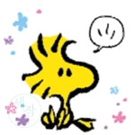 세잠드 DIY 스티커 보석십자수 피너츠 꽃 우드스탁 10X10 캐릭터스티커제작 : 세잠드