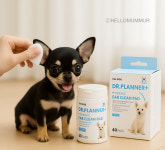 [NEW/인기]  반려견 귀청소 귀건강 관리 더독 닥터플래너 하이제닉 이어 클린 패드40p : 헬로멈머