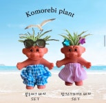 NEW 이오난사화분,스칸디아모스 이오난사 트롤화분 트롤이오난사화분 미니화분 소품 : 코모레비플랜트샵