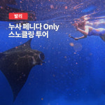 누사페니다투어 발리 스노클링 만타가오리 크리스탈베이 보트투어 : 트립온 TripOn