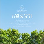 [6월/용인/분당/광교] 아침 숲 요가 에버랜드 명상 야외 자연 원데이 사운드 배스 싱잉볼 추천 클래스 스노우피크 카페 (vinyasa + Sound... 