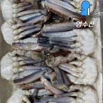 냉동 절단꽃게 손질 꽃게 절단 게  L, 2L 1박스(450g x 12팩) : 영수산