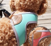 [강아지전용 하네스] 버킹검-브이하네스 : 댕냥-댕냥