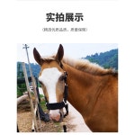 말고삐 마구간 컬러로프 레이싱 튼튼한 컬러 대형 레드 소형 굴레 레드 미만 로프 마방 M미디엄사이즈 1 3 1 5m말 레드 : 셀렉투하우스